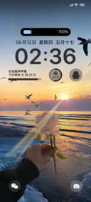 玫瑰日向晚ins