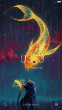 Cats under the stars