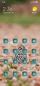 Colorful Butterfly