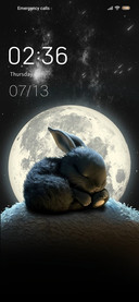  rabbit  the moon