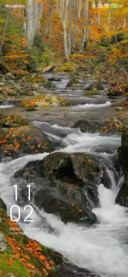 Maple-leaf forest