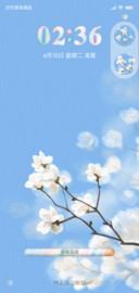 玉兰花开