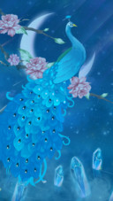 孔雀