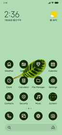 Minimal Leaf