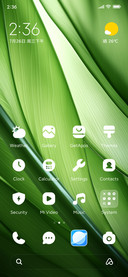 green leaf