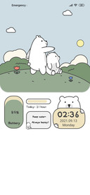 Healing Bear