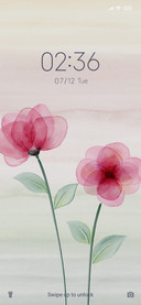 Pretty Flower II