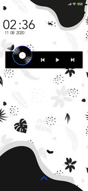 Tropical Animals_3MDP