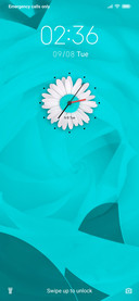 White Flower_DWM20