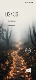 Misty Woodland