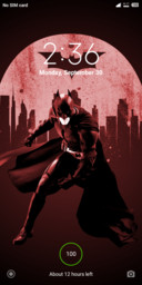 Batman grey
