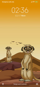 Mongoose_3MDS 