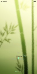 BAMBOO