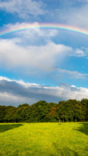 Rainbow shines brilliantly
