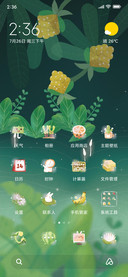 兔子的秘密花园