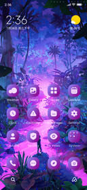 Wild Jungle