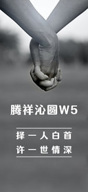 腾祥沁圆W5
