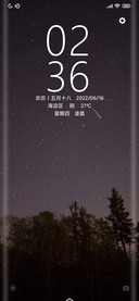 星河树影