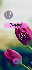 Tulip3