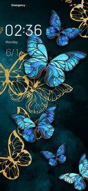 Time butterfly