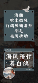 海风陪伴着白鸽