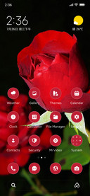 Roses