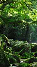 Kumamoto prefecture japan
