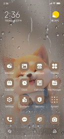 Shiba Inu
