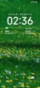 小清新