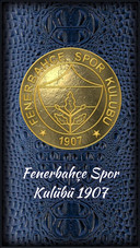 FB FENERBAHCE SPOR 1907