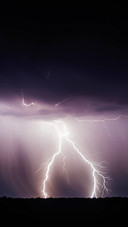 light (1)