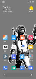 PUBG.SS