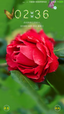 茶花汇