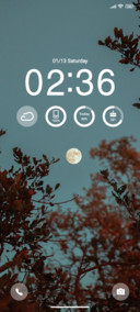 Moon and treetops
