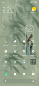 Ancient+Bamboo