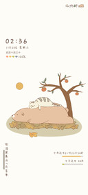 憨睡猫猫熊