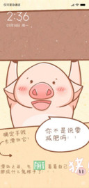 猪猪减肥记