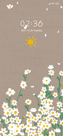 White daisies