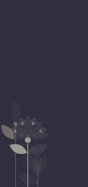 线荷