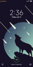 MDark Wolf