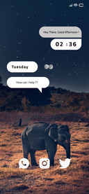 Elephant Night