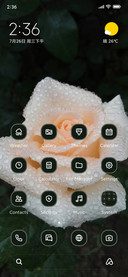 Rain Drops