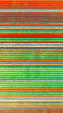 Aerial view of tulip fields in Denmark