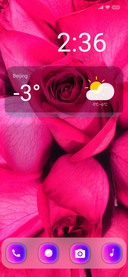 Rosy Qo