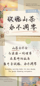 玫瑰山茶永不凋零