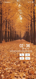 Autumn