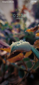 Rain_DWM2