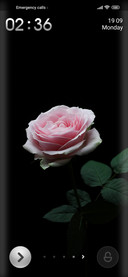 Rose trance