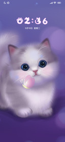 看蝴蝶的小猫咪