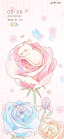唯美粉玫瑰喵G